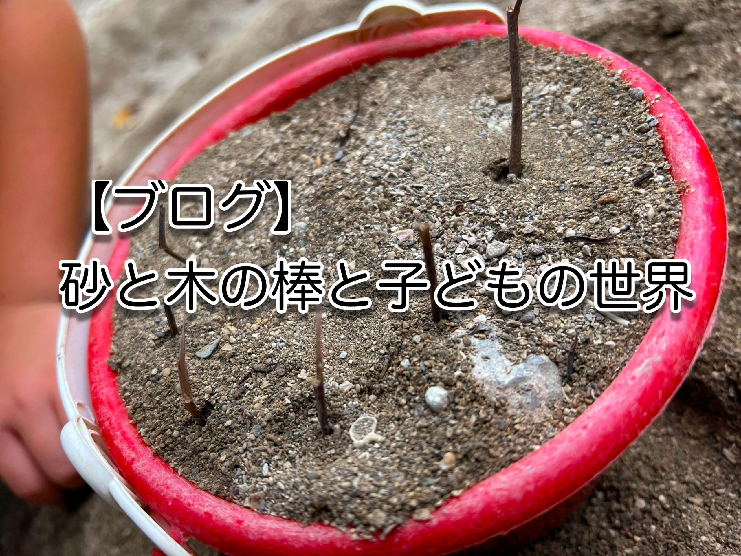 砂と木